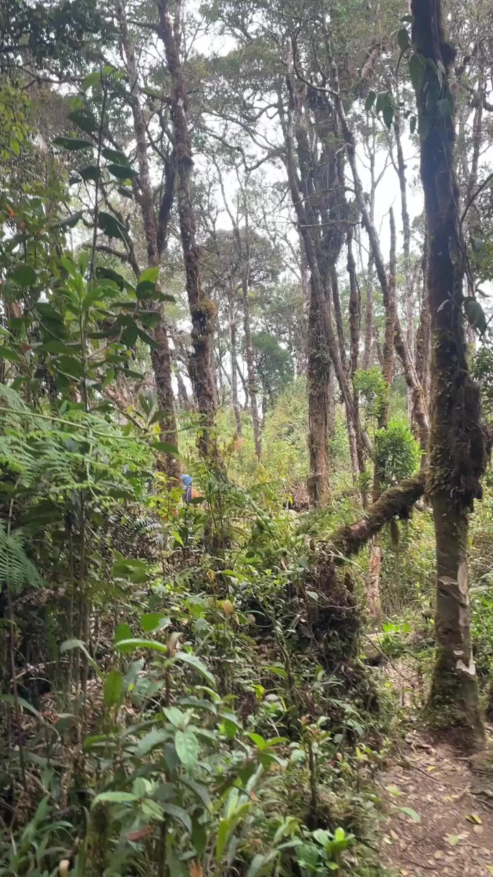 @Mdfkn_Junky⳻᷼⳺🍃🇵🇬