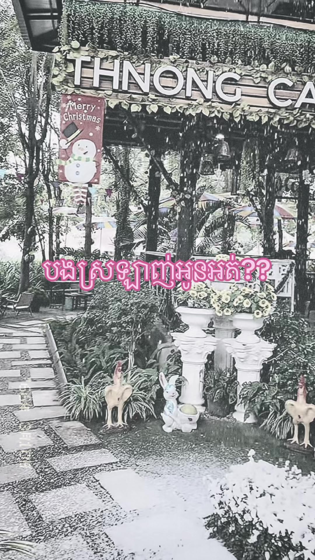 @✨Chom nan✨