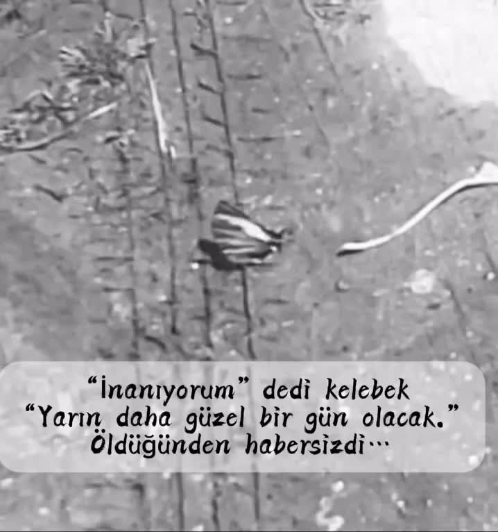 @Serkan Şimşek