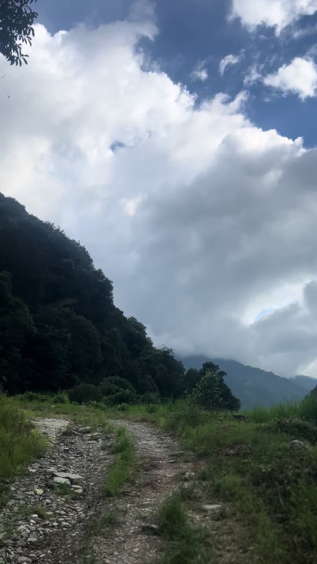 @📸