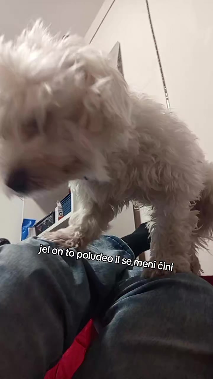 @๐ ๐๐ข๐๐๐ ๐