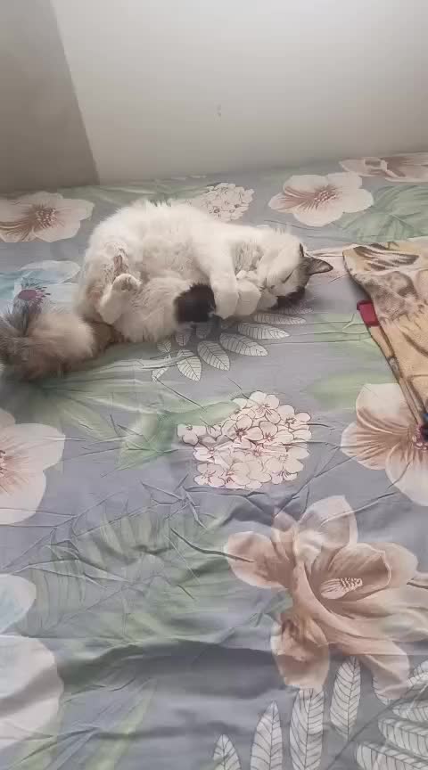 @lau_qui98