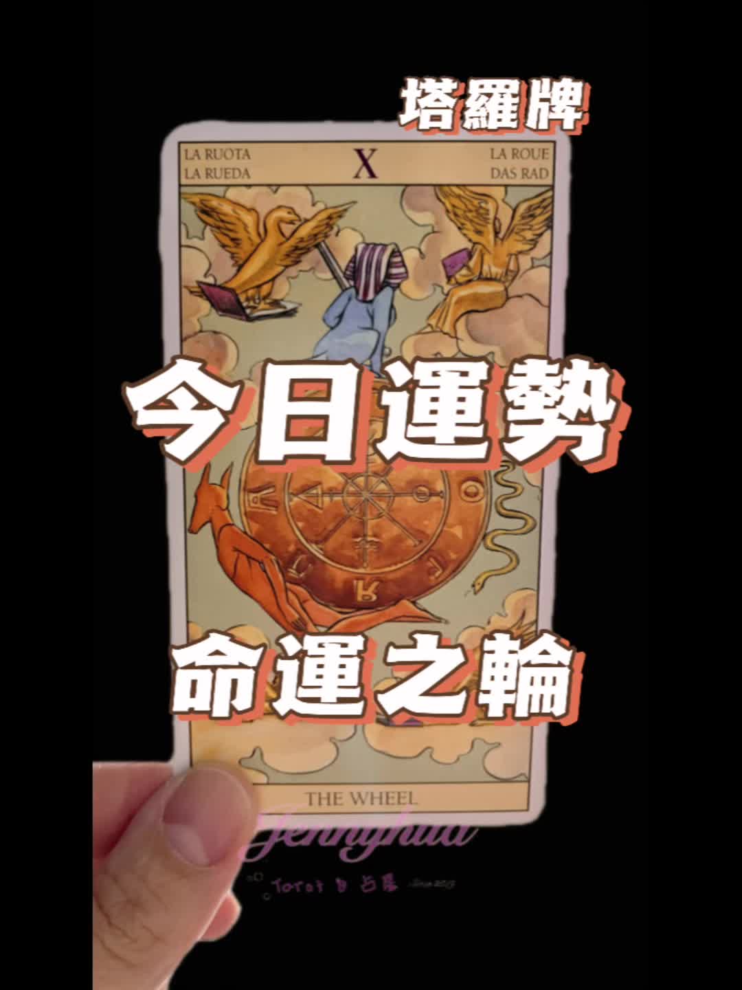 @꧁珍妮花的神秘花園꧂