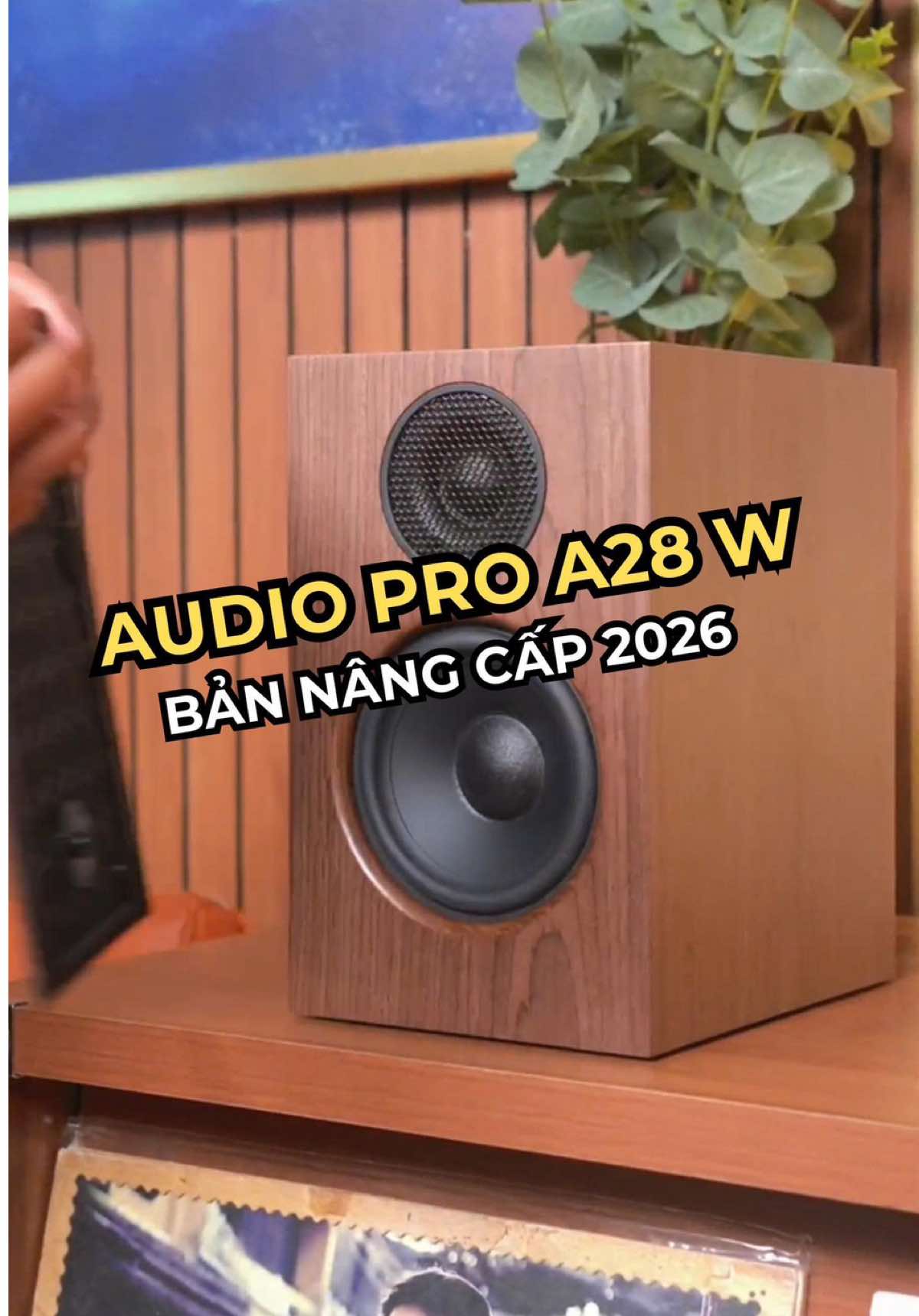 @D&aacute;t V&agrave;ng M&agrave;ng Nhĩ 🎼