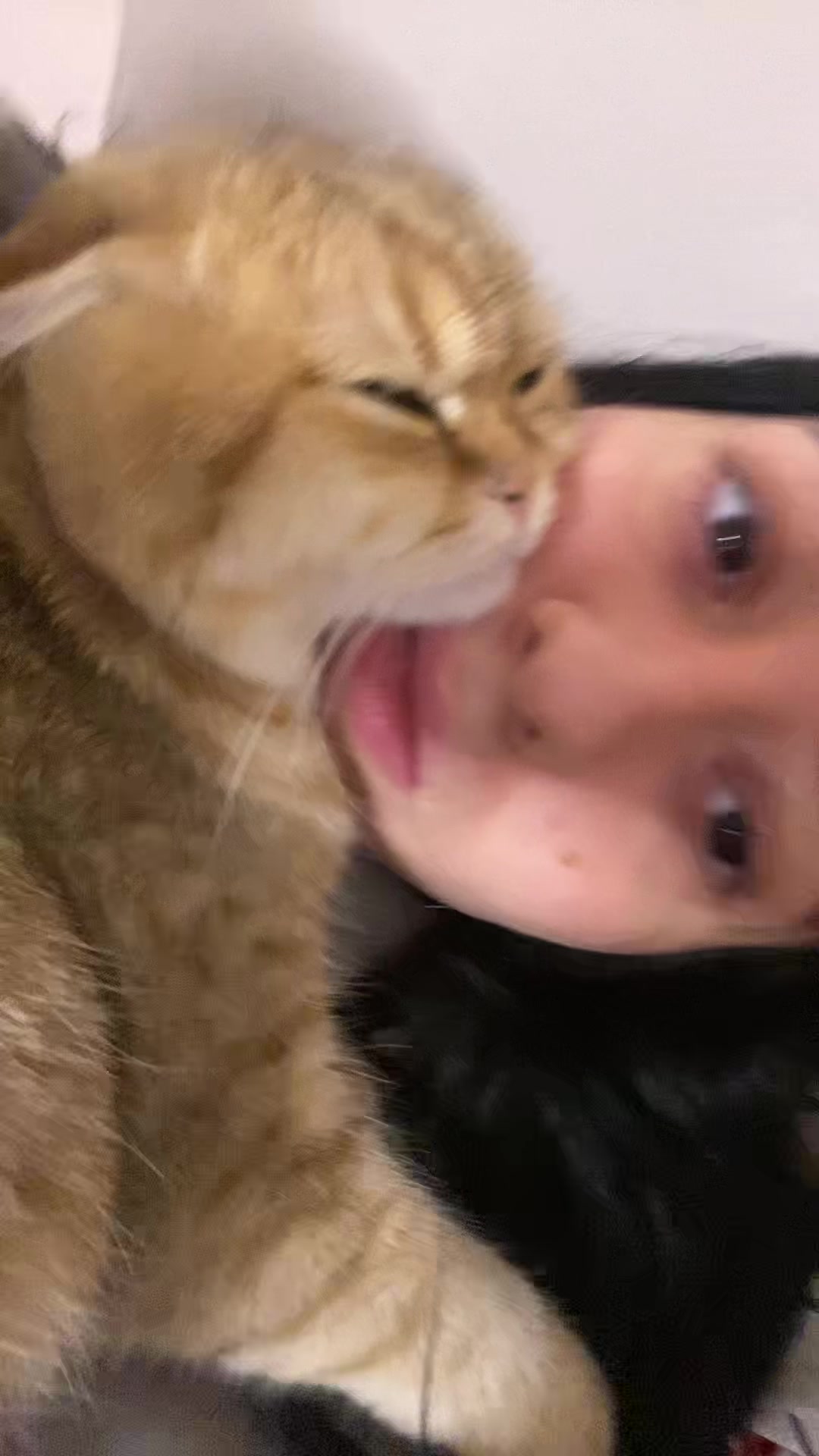 @𝓜𝓮𝓻𝓿𝓮🦢