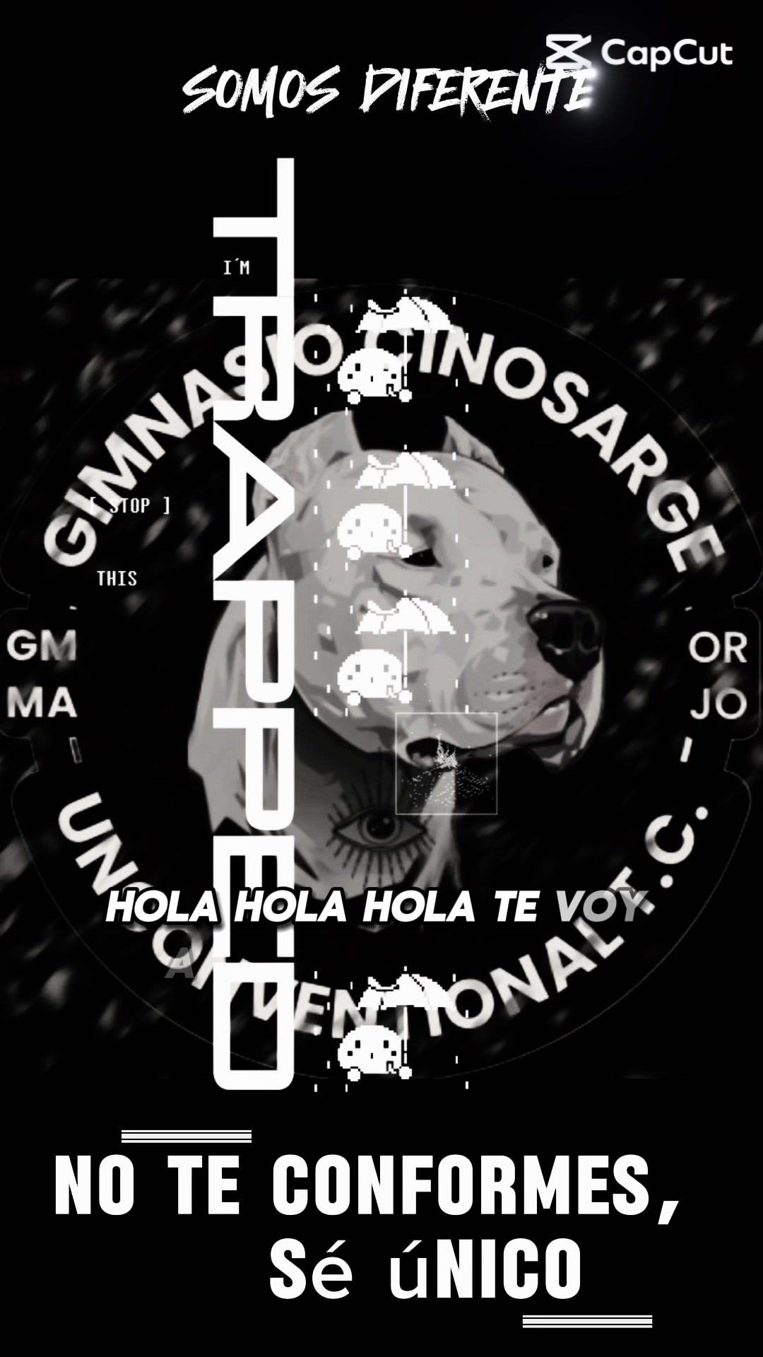 @Gerardo Mello PTUC
