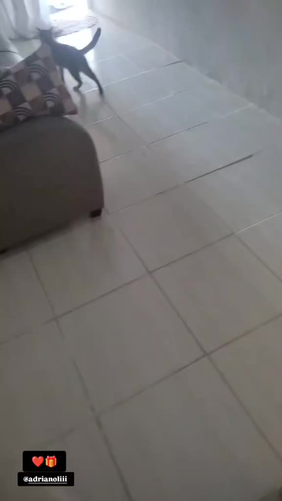 @Laiana De jesus