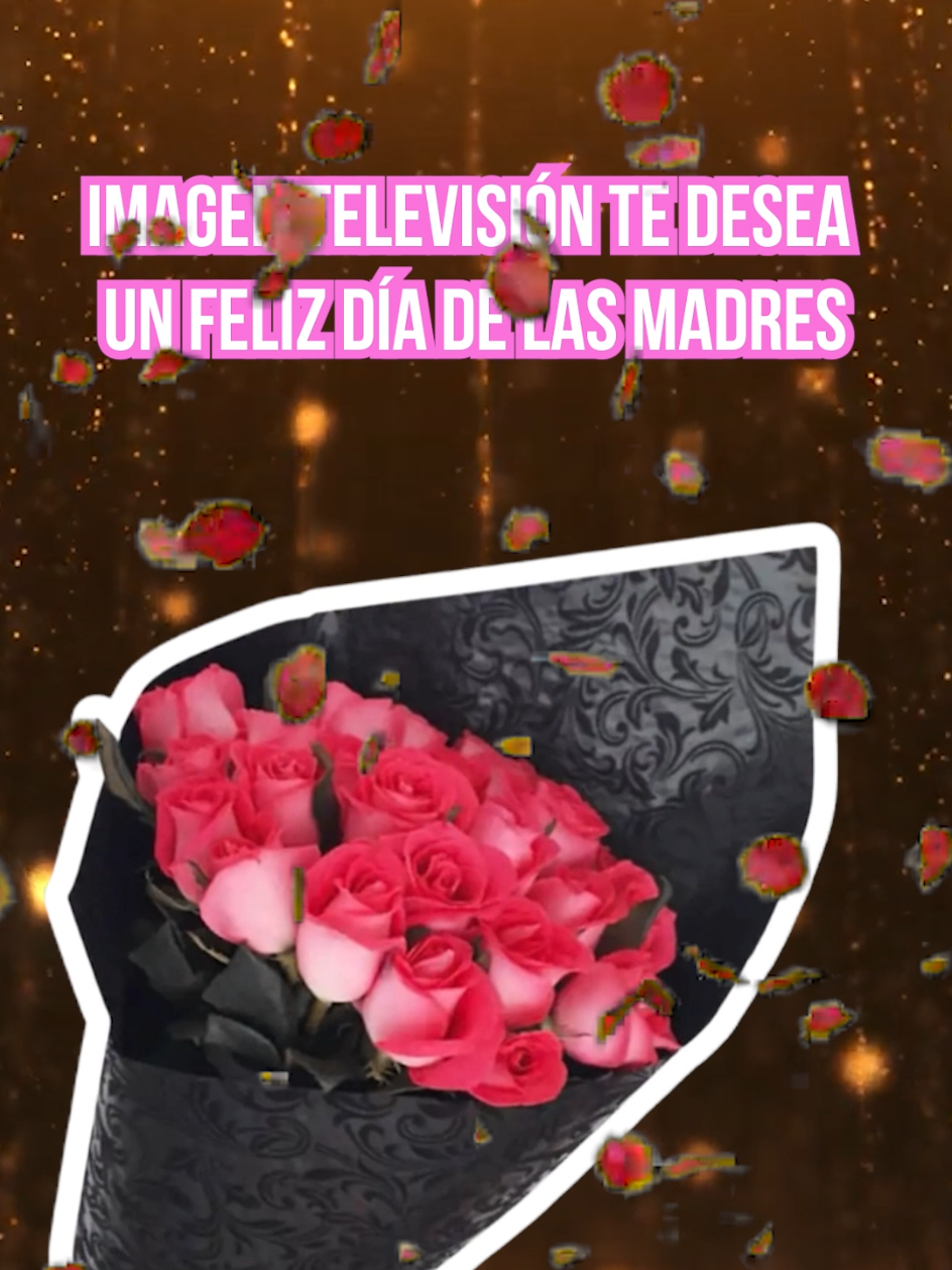 @Imagen Telenovelas