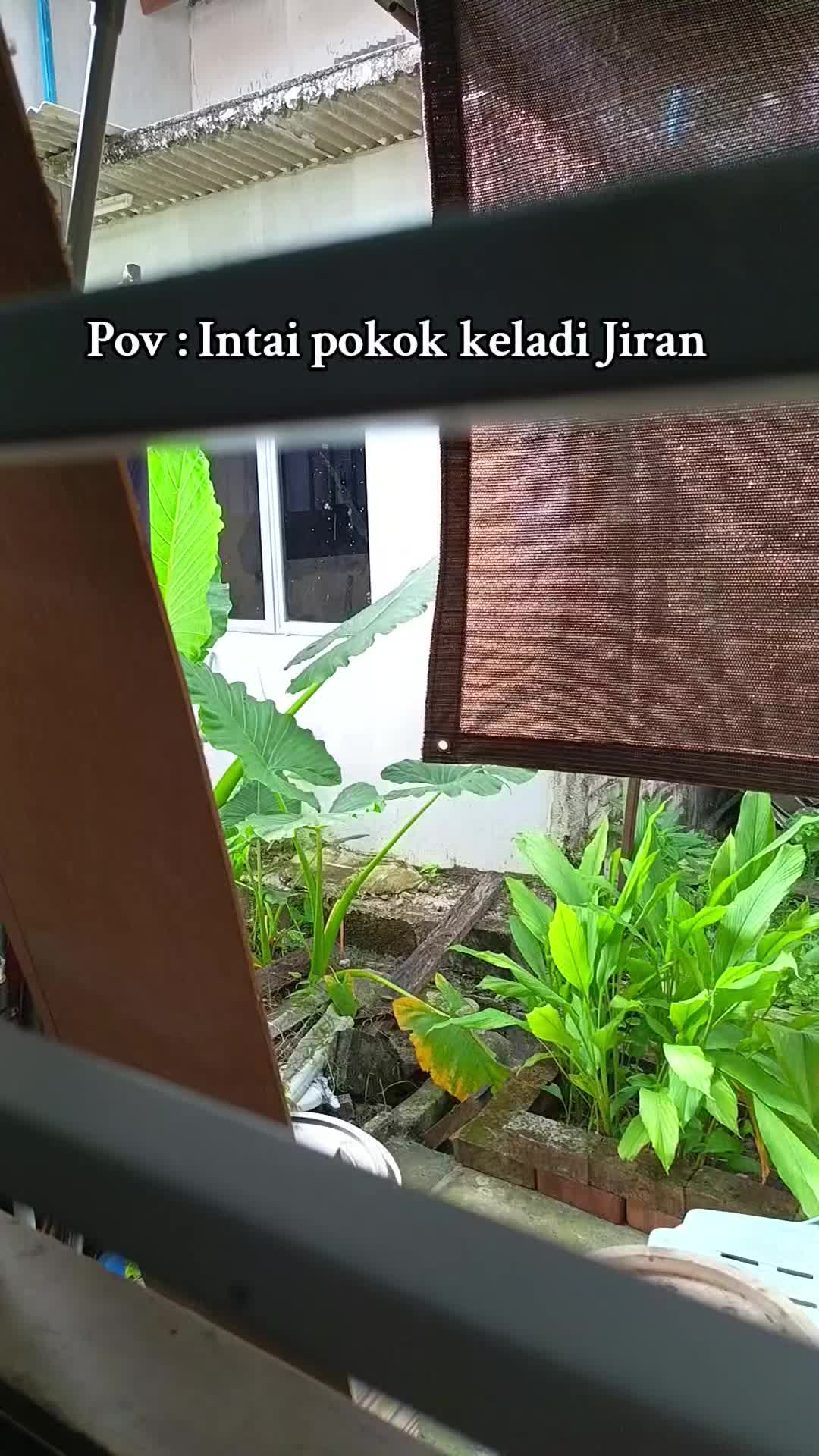 @Cekak Dua Ringgit