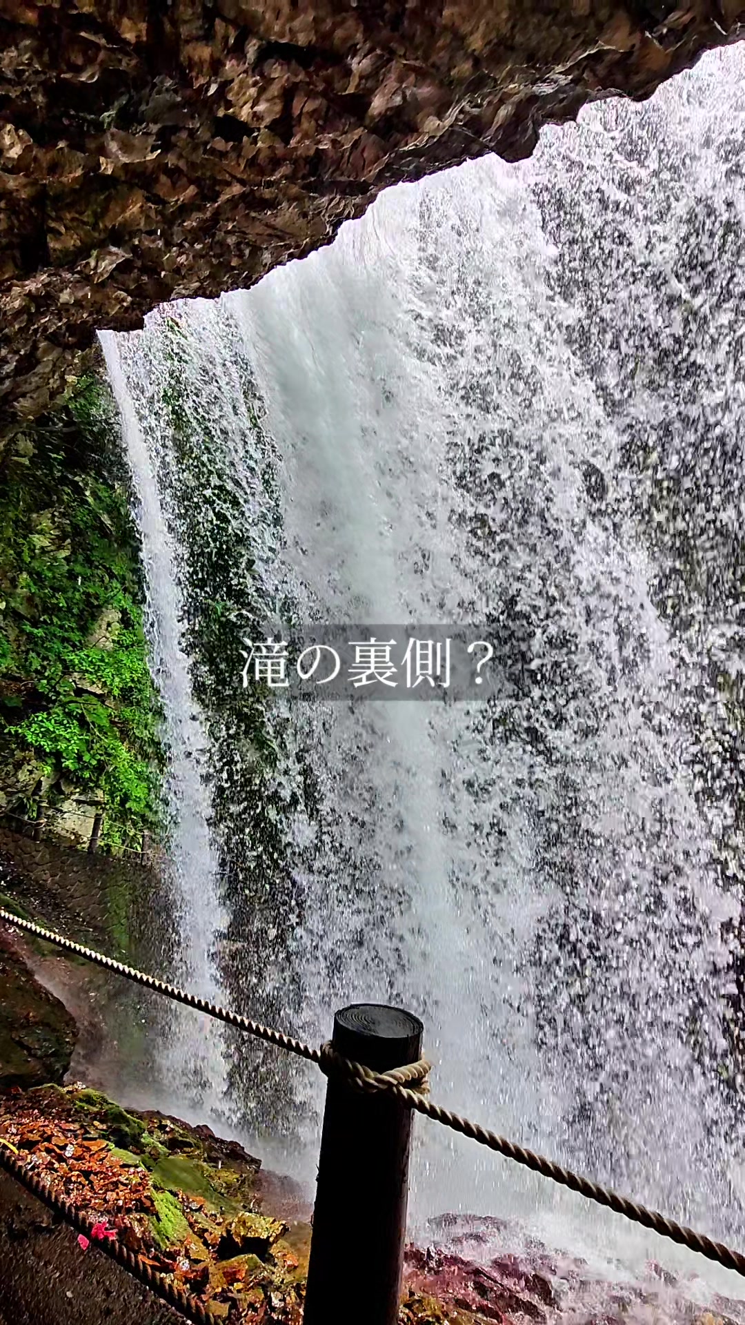 @ぴーち社長