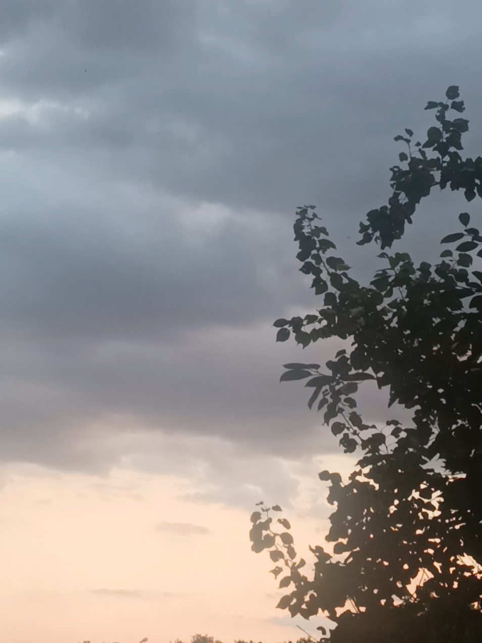 @❤️❤️Катерина 💛💙💛💙