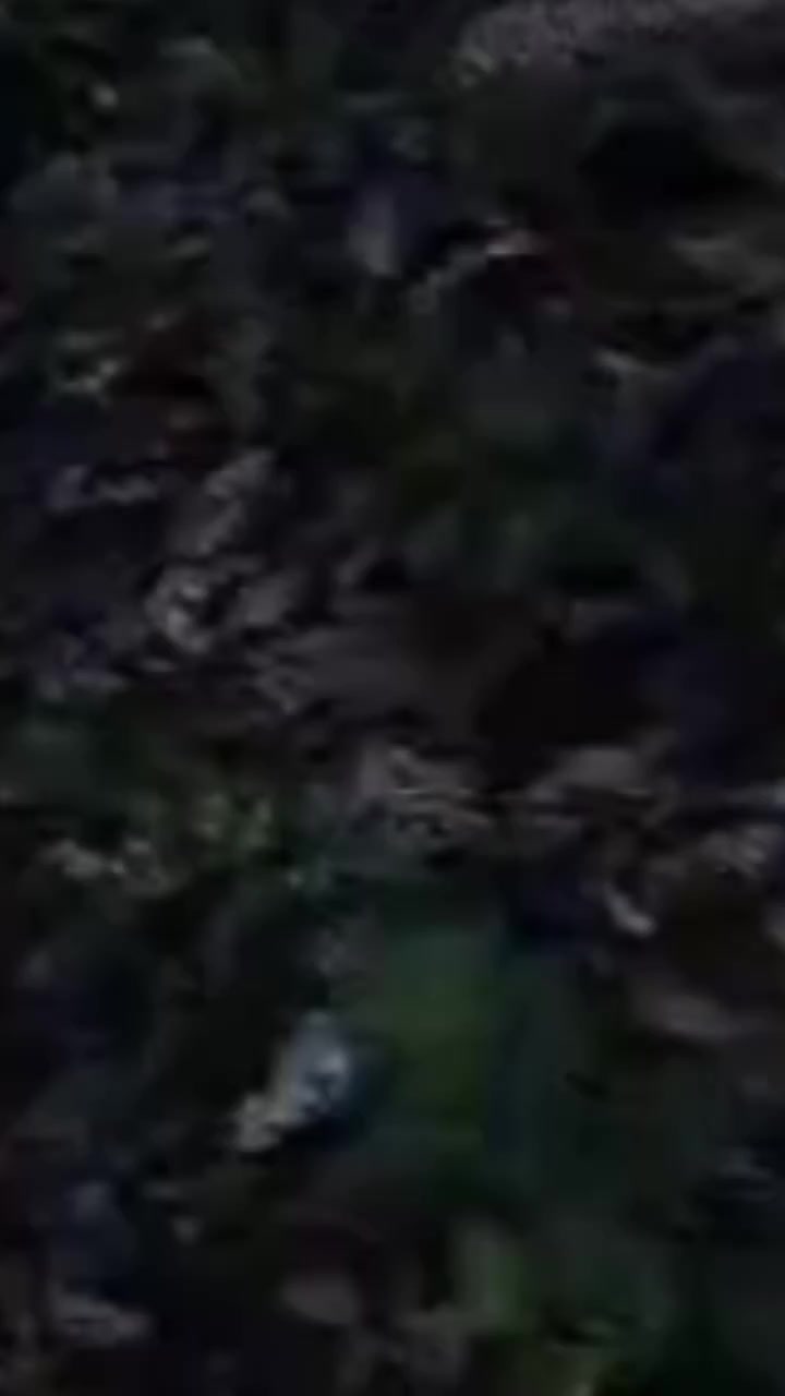 @𖦹ʙ𝒖𝒏𝒏𝒔 ☠︎︎
