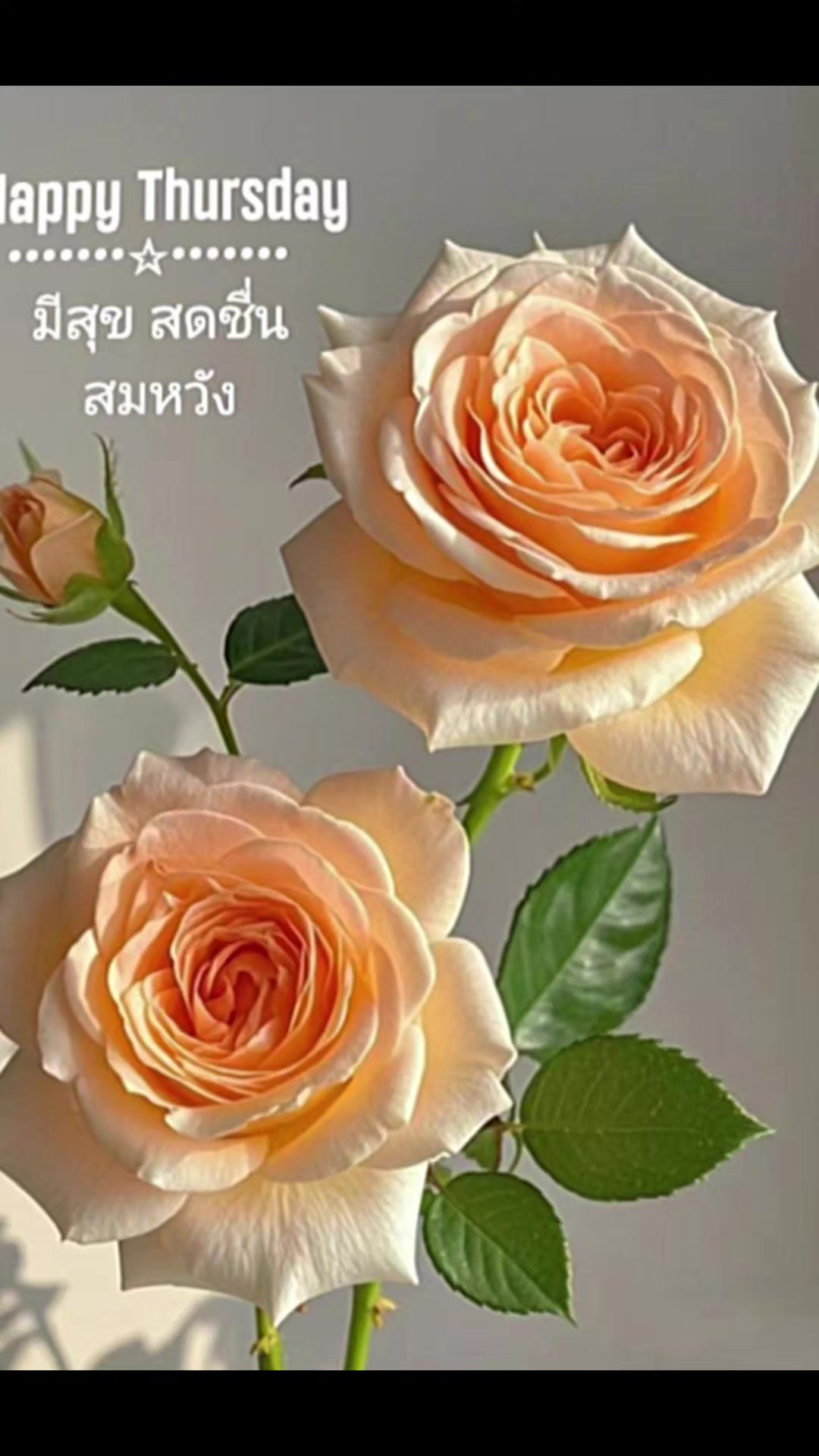 @Orasa mokkhdksoongg