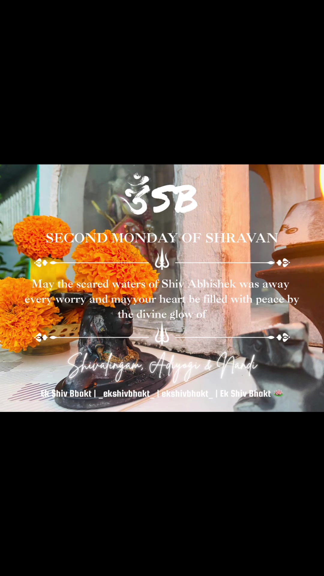 @Ek Shiv Bhakt 🪷