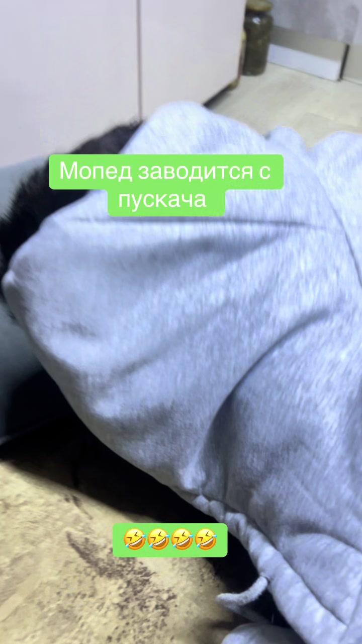 @СЕРЫЙ ГАГРИС