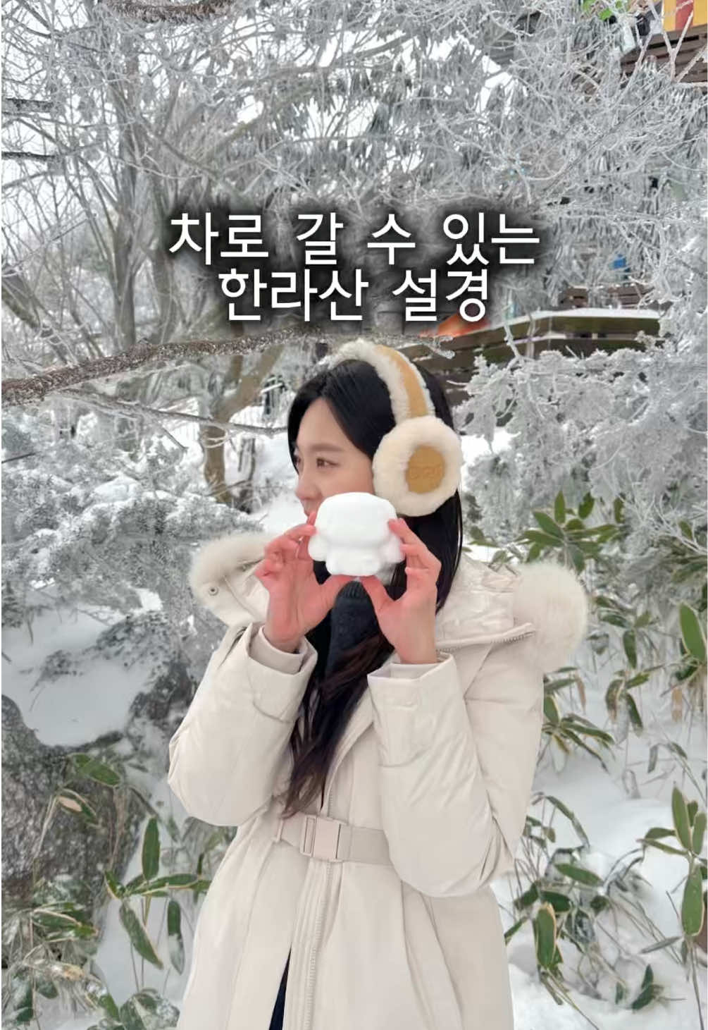 @Sez쎄즈