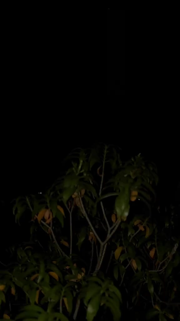 @Tayyab Khan