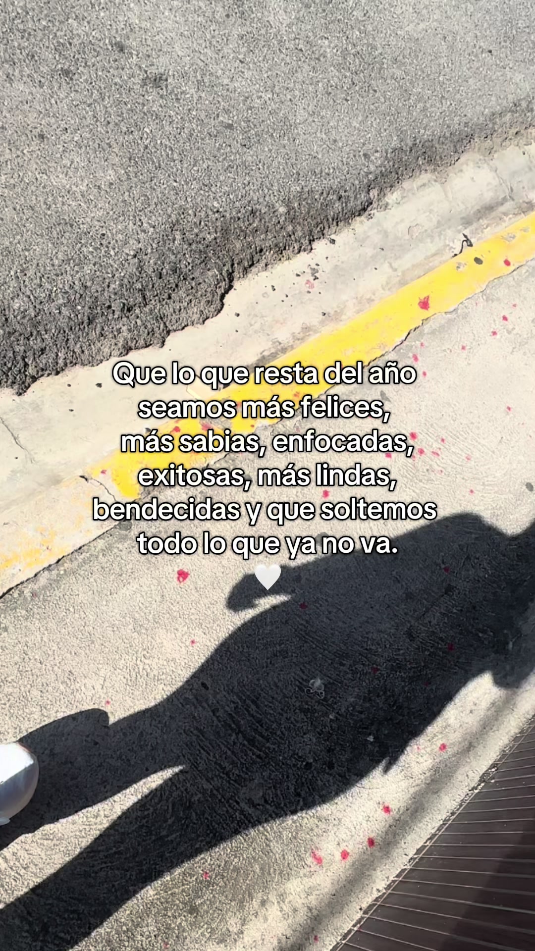 @Jennifer Torres 🌸 ✨