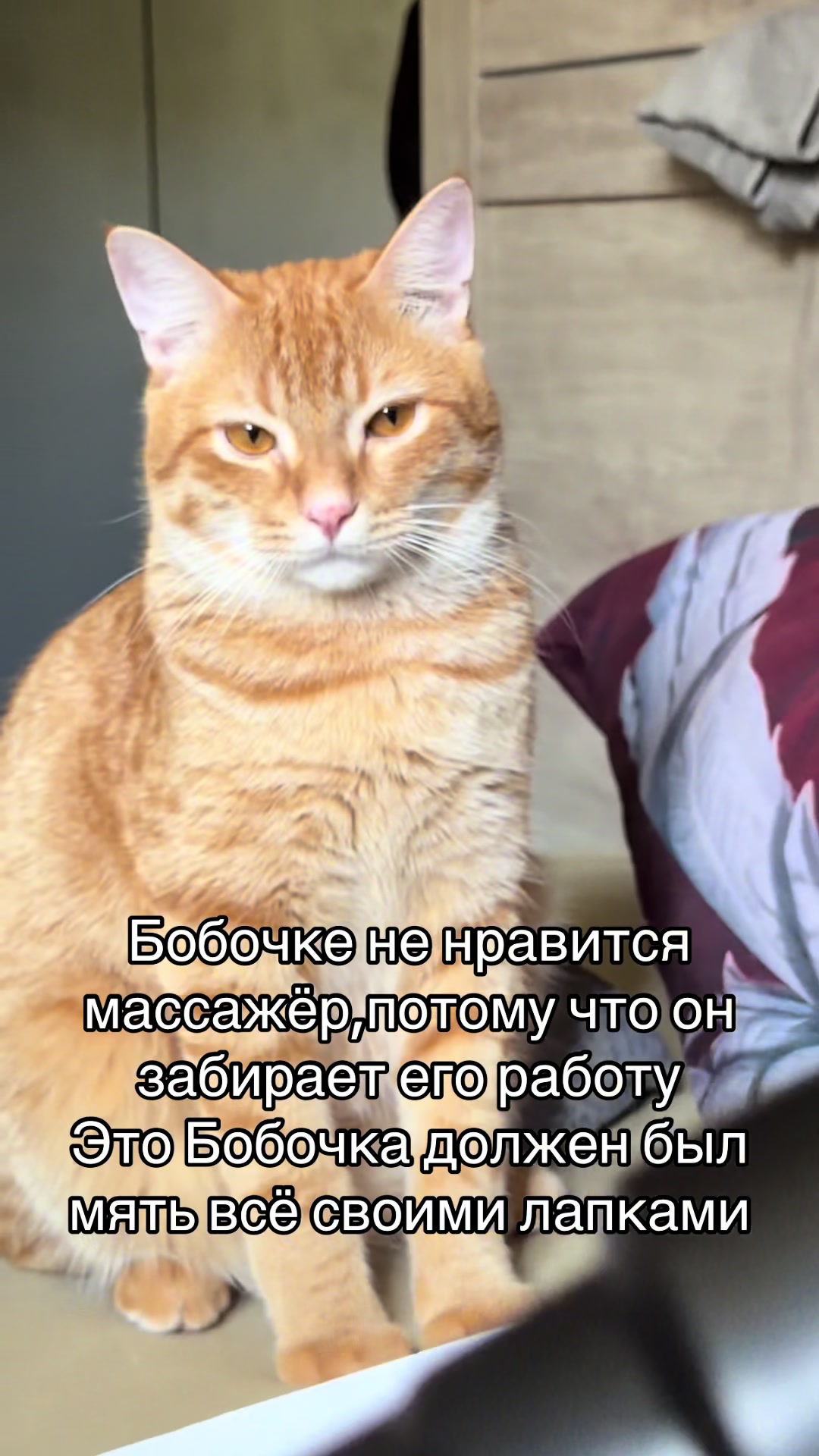 @кастрюля