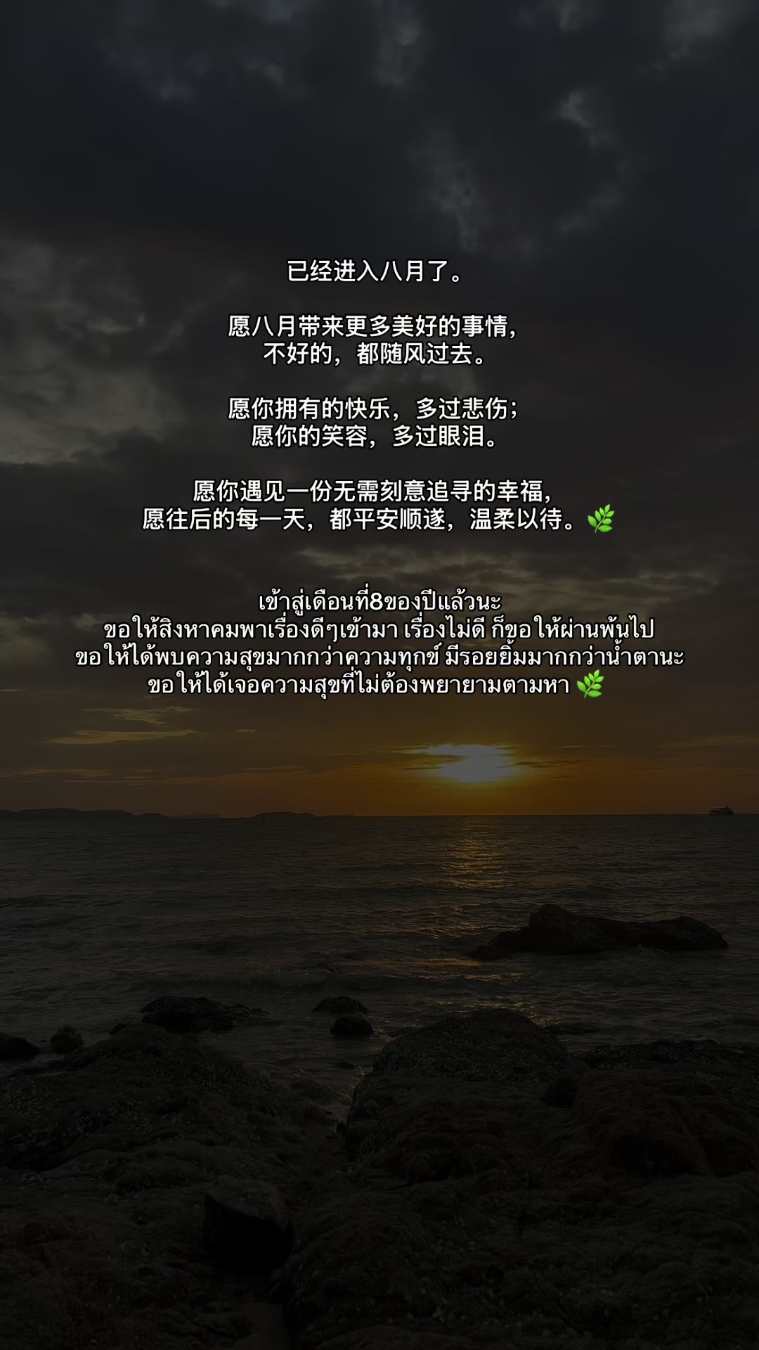 @yanyanx45