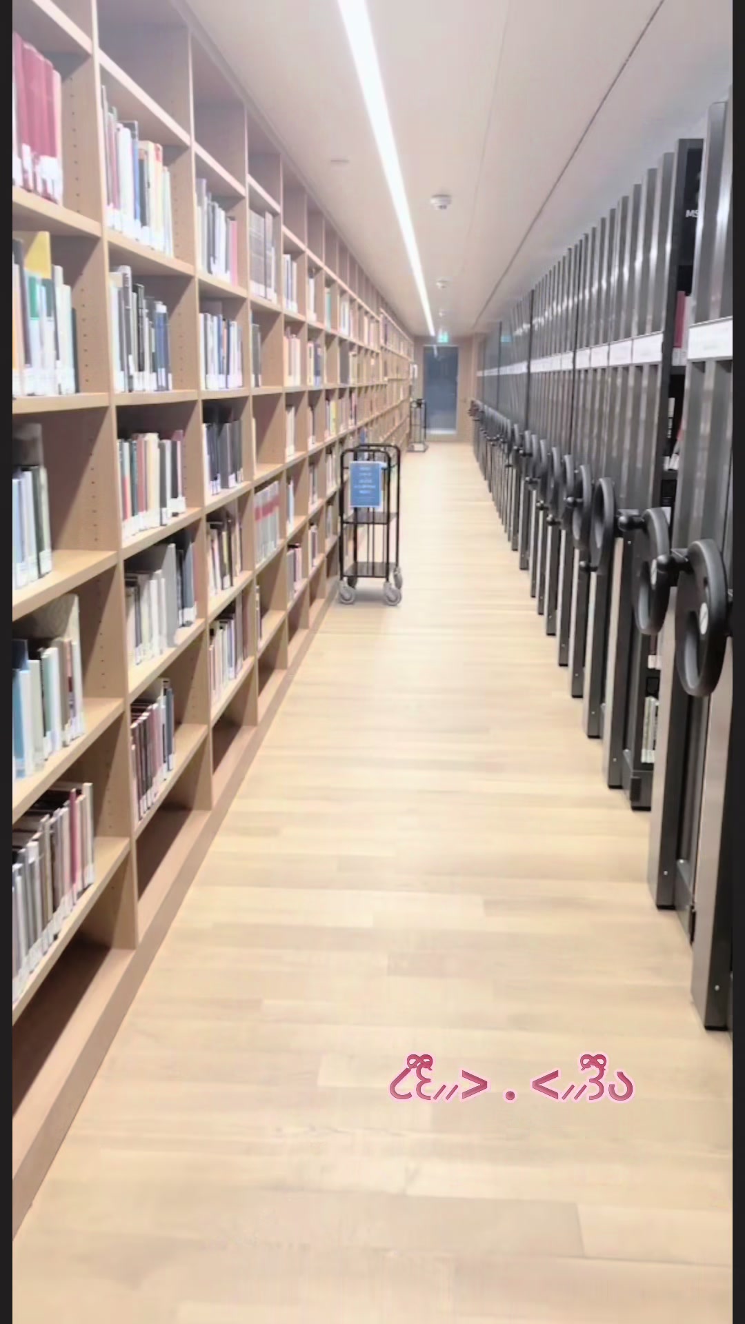 @viii_won