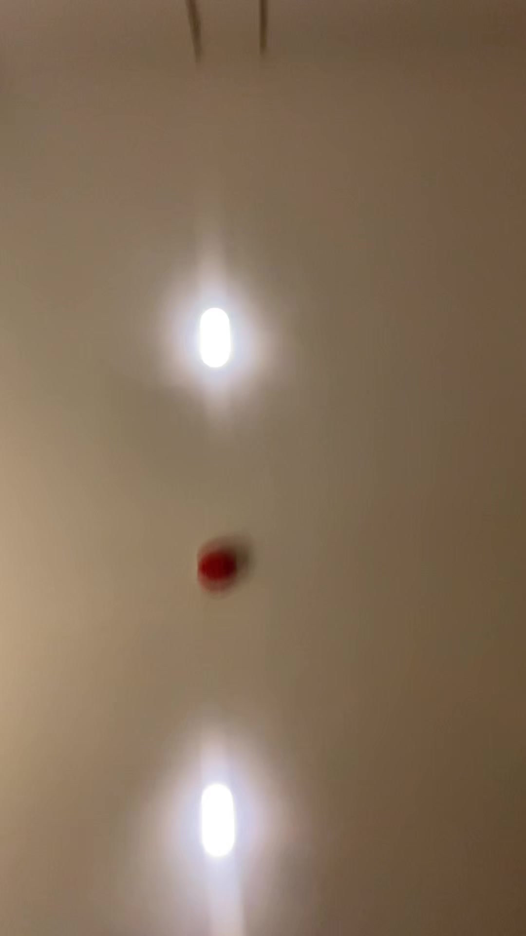 @lolilol