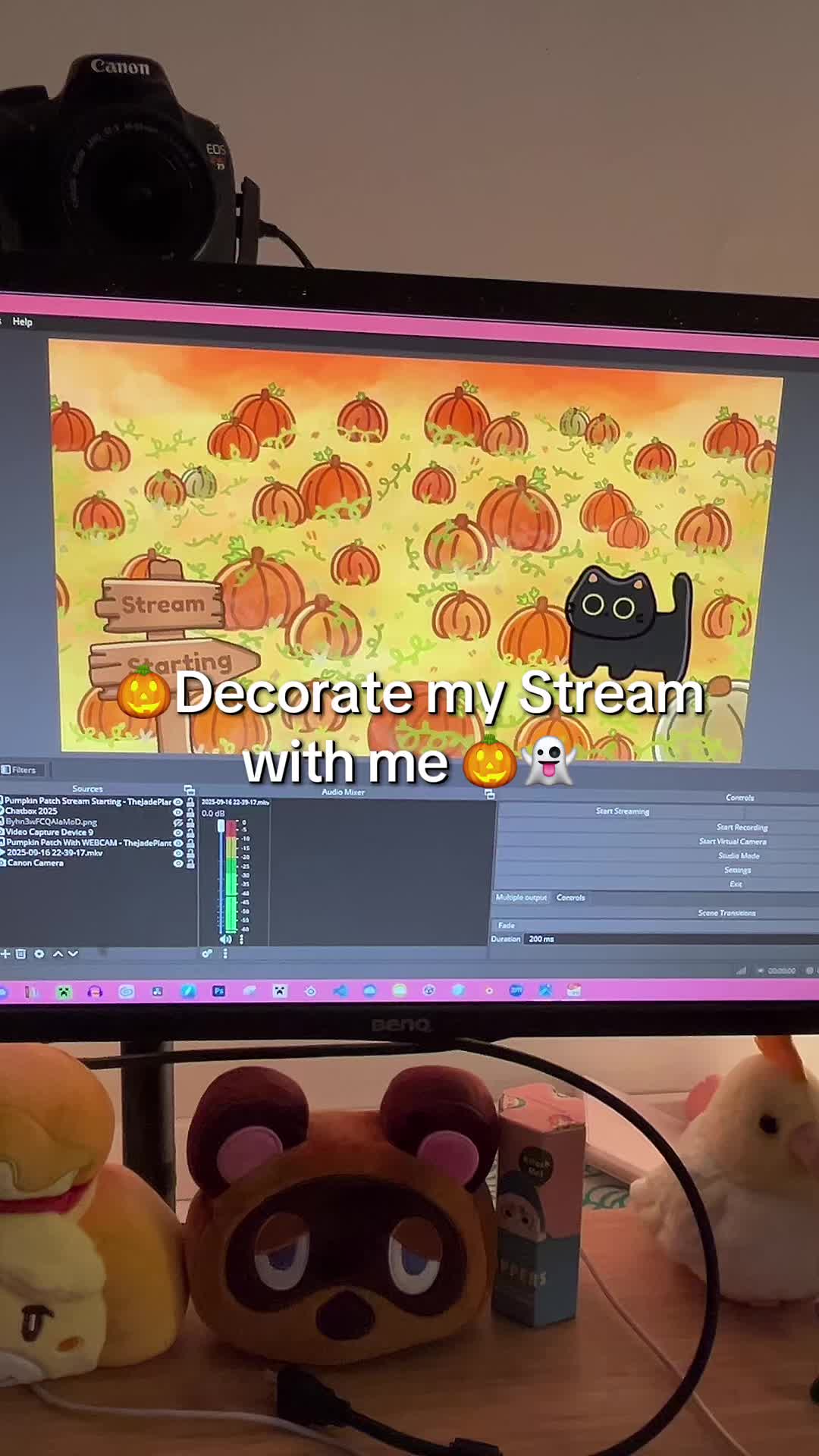 @TheJadePlant 🌱