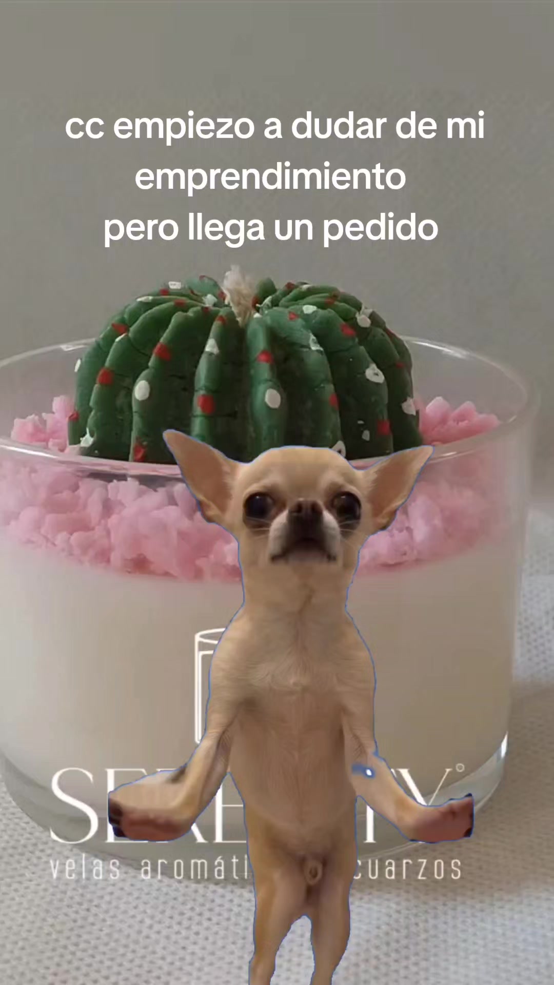 @❣️₩endyEcari☆♡🥦🍒🍉🧿🐱🐶❣️