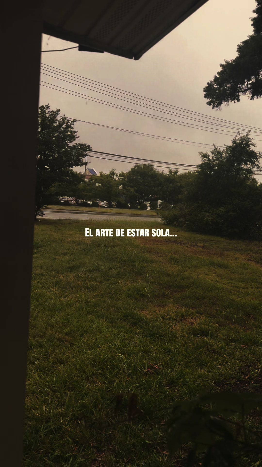 @𝙄𝙭𝙚𝙡 𝙀𝙨𝙩𝙧𝙚𝙡𝙡𝙞𝙩𝙖✨