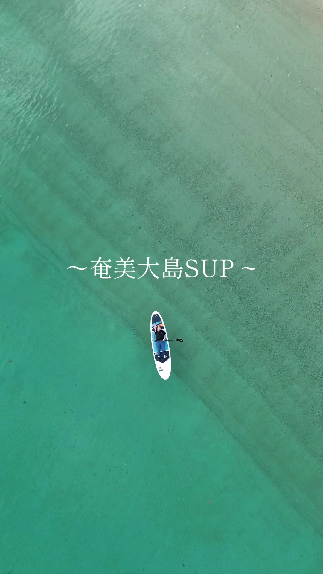 @奄美大島シマッチュ