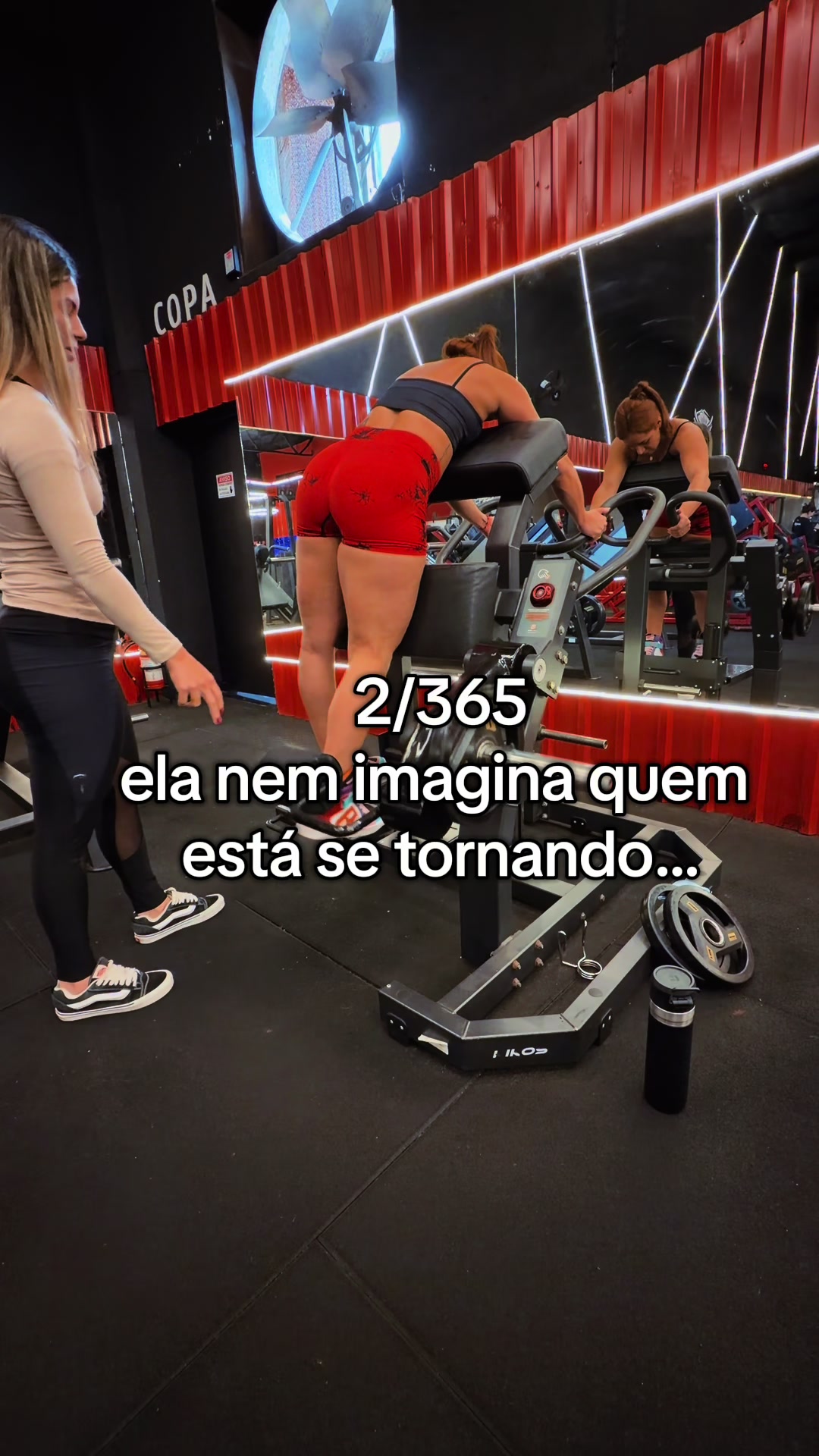@dridegrossi