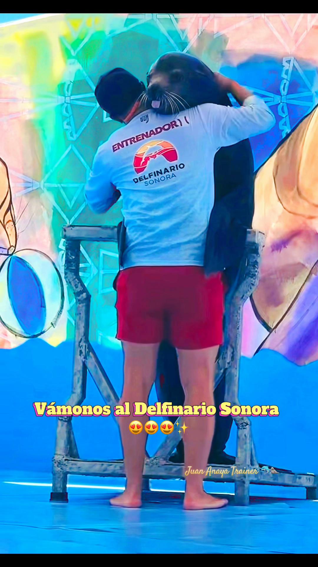 @Juan Anaya Trainer 🐬🦭