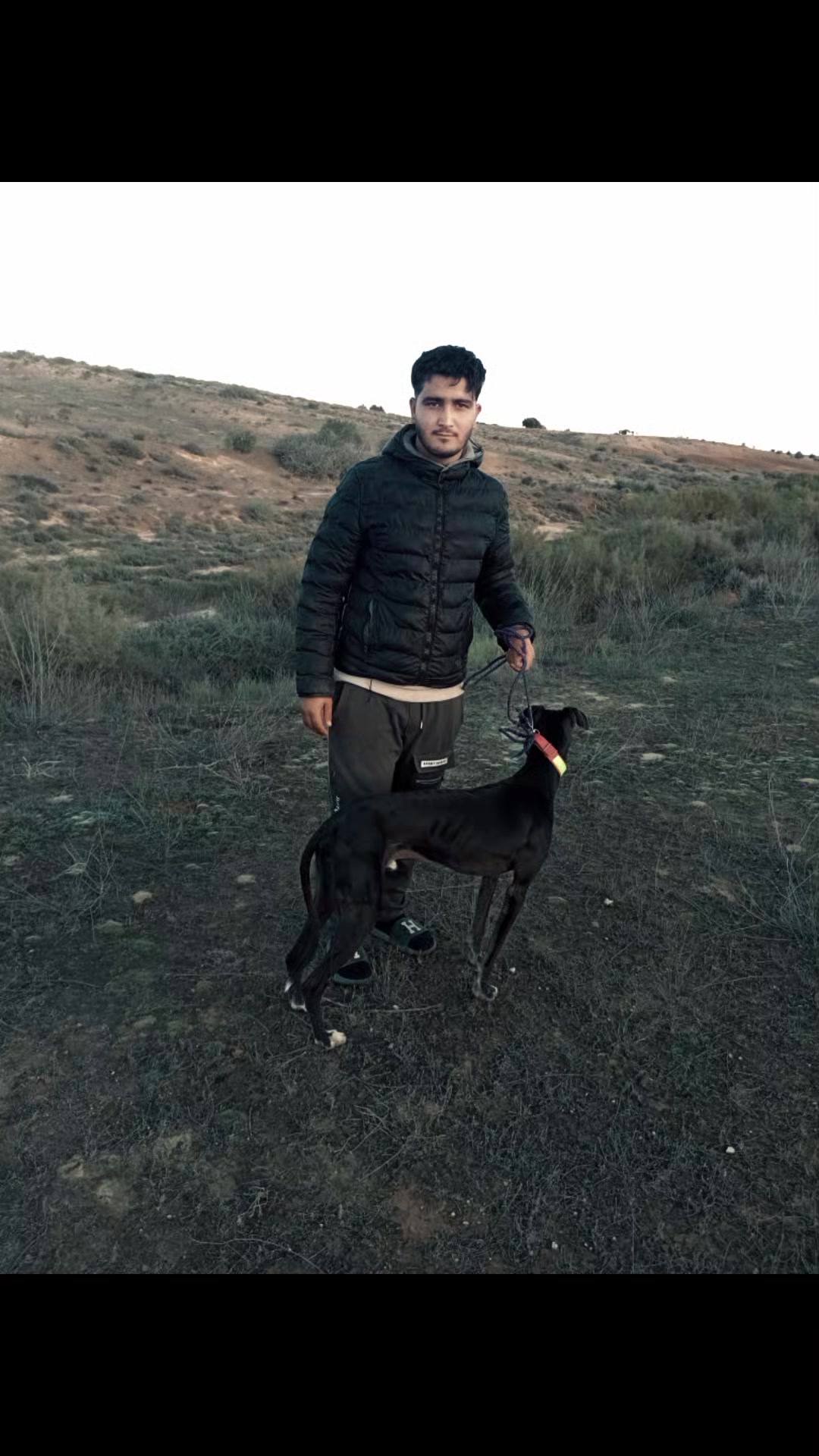 @Mohamed Amine jlali
