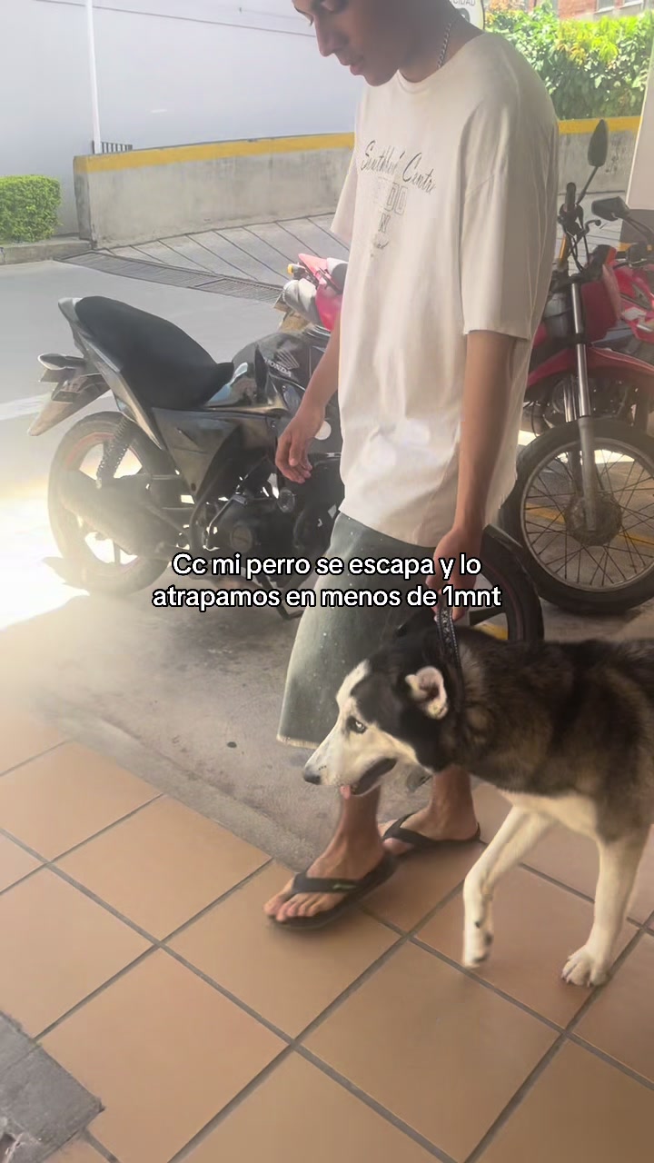 @𐙚𝐒𝐓𝐀𝐏𝐏𝐄𝐑愛