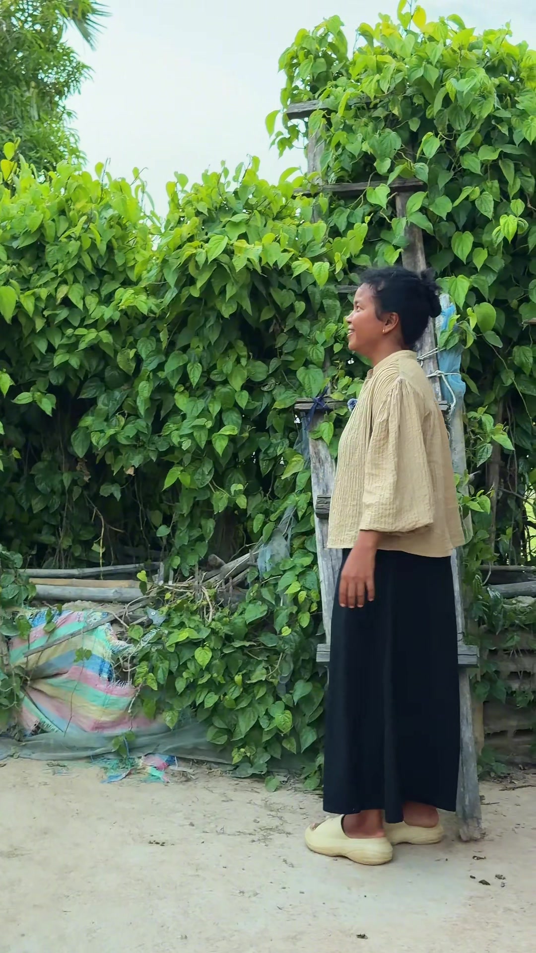 @កូនចាបមាស