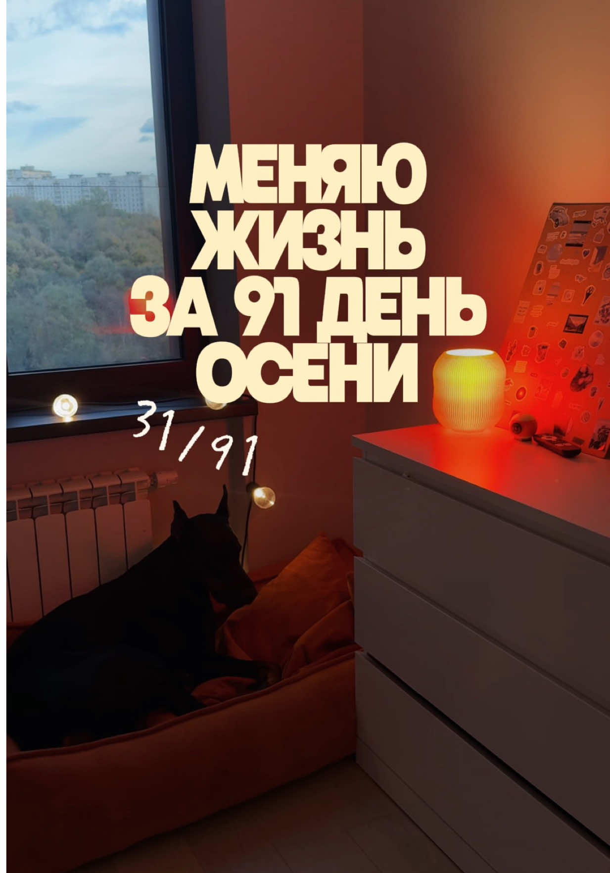 @Дари Доберс