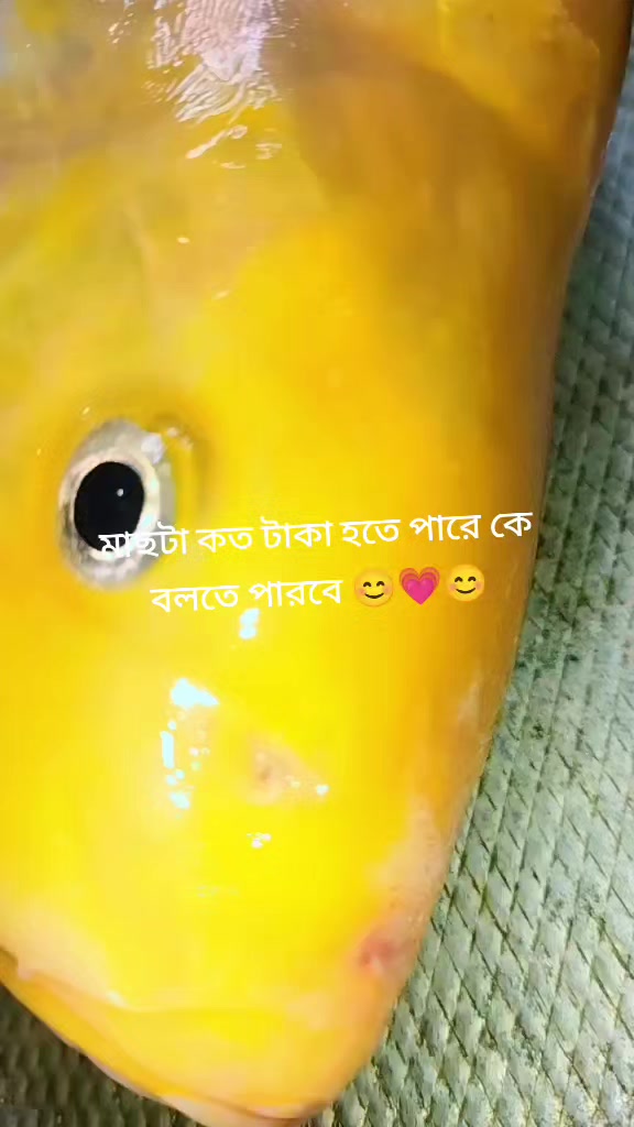 @🥰 মা-বাবার রাজকন্যা 🥰