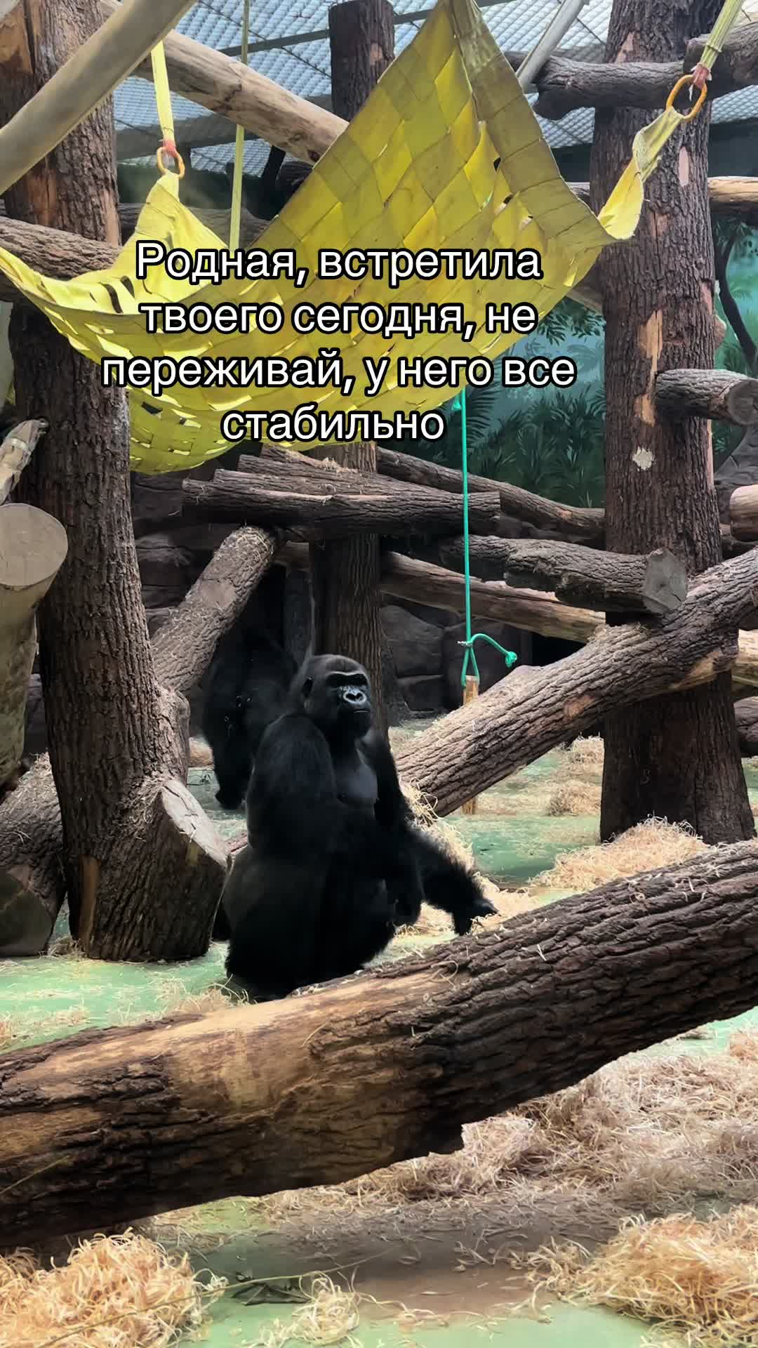 @ксю