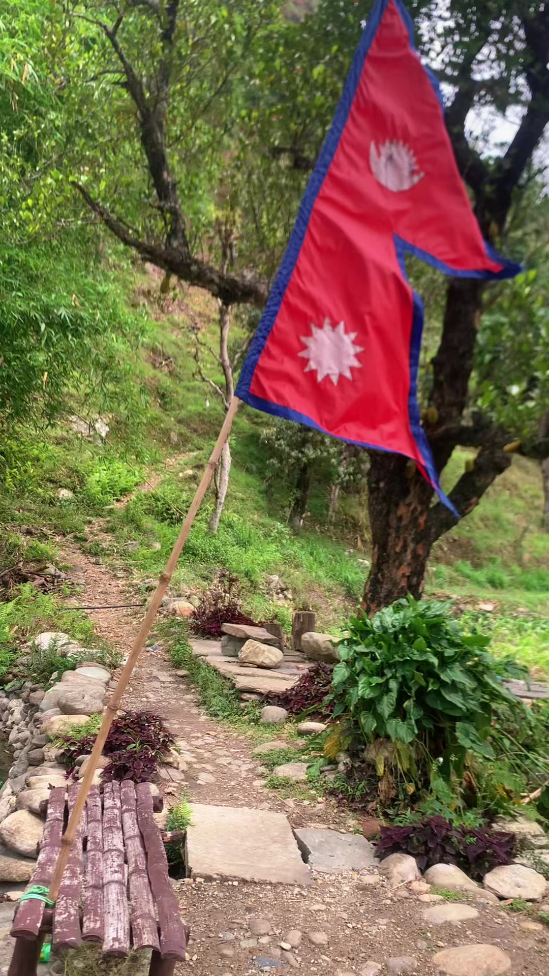 @Sitasu Giri