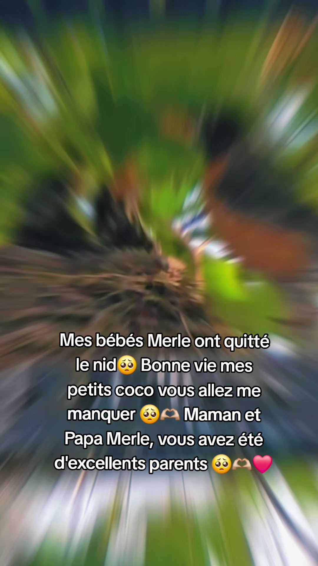 @La Redneck du Québec 🤠🤟🏻🥰