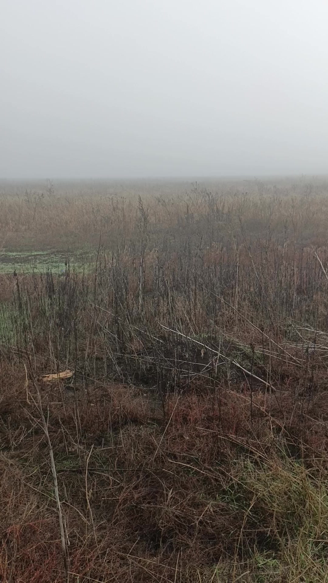 @ПоЛоЖеНеЦ