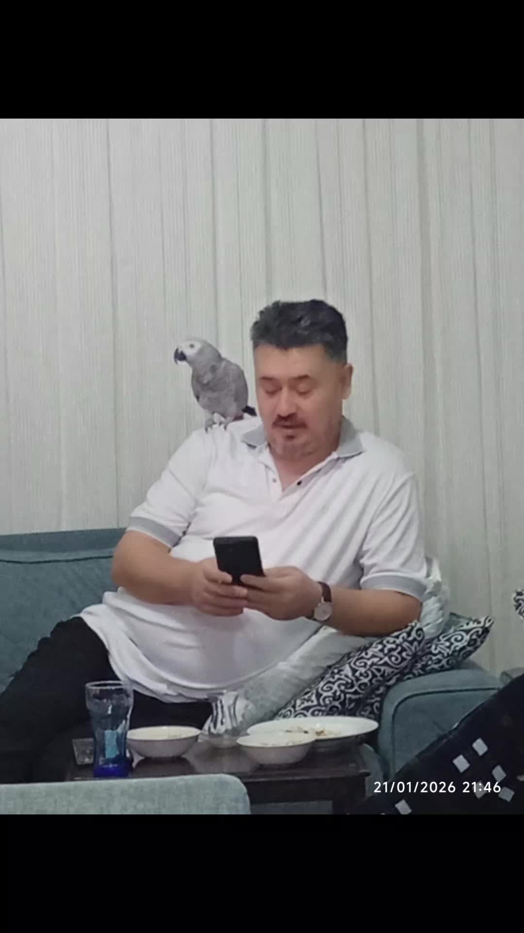 @Yusuf Babacan