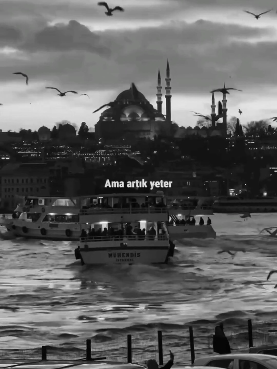 @asenat.35