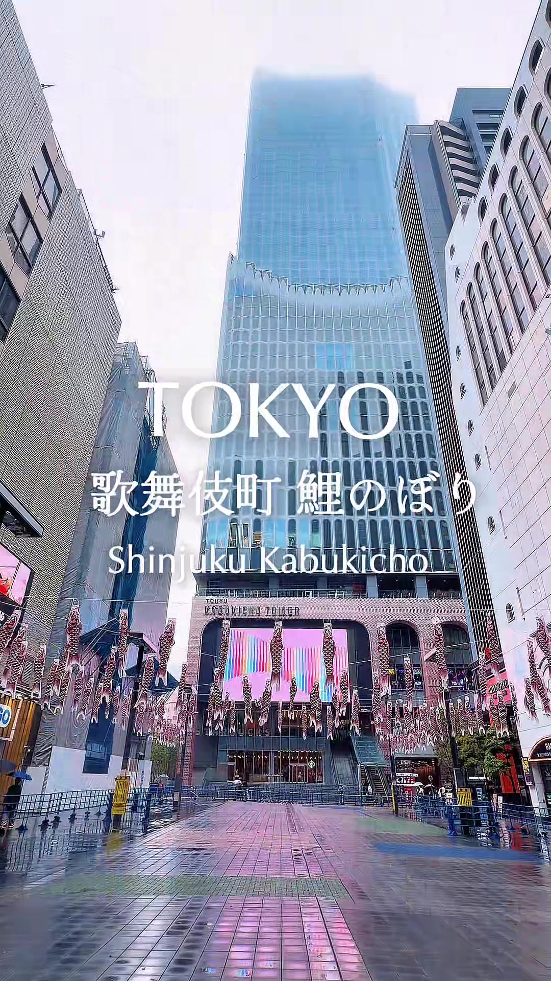 @のらよ🏮Norayo