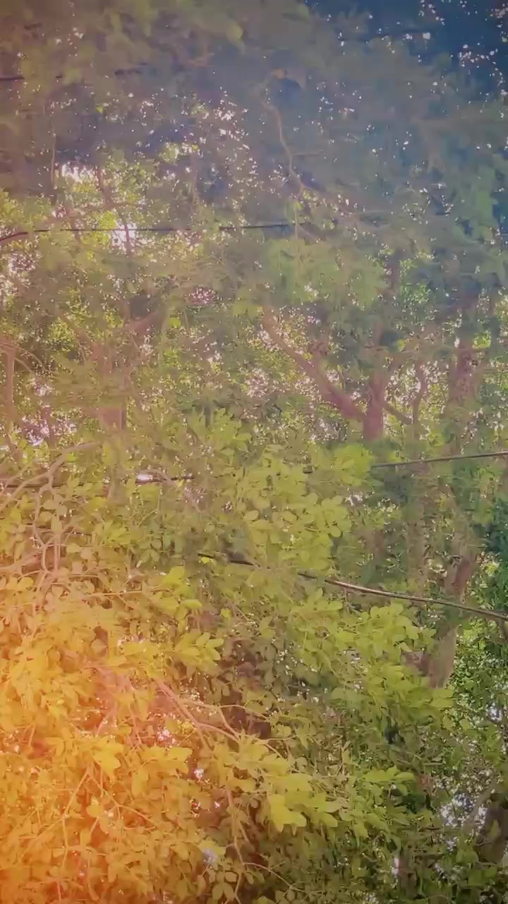 @saeedkakar00