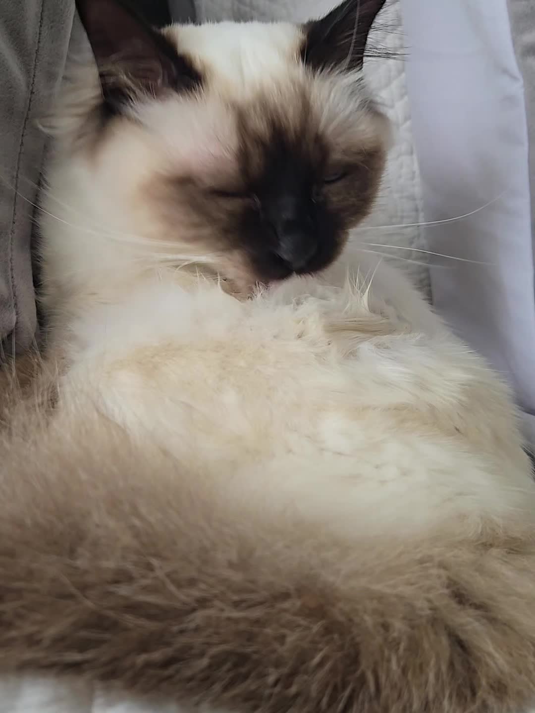 @Léo & Suki ♥️