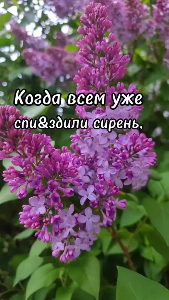 @Оксана