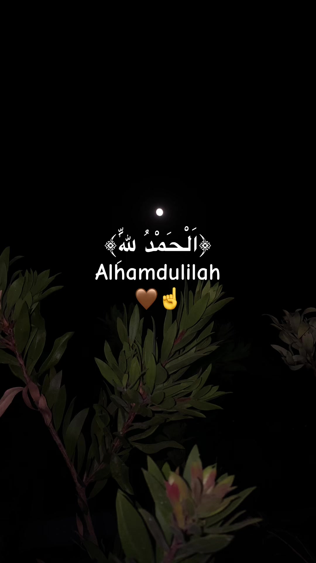 @♡ 