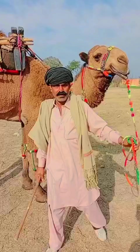 @👑Inzimam Arshad👑