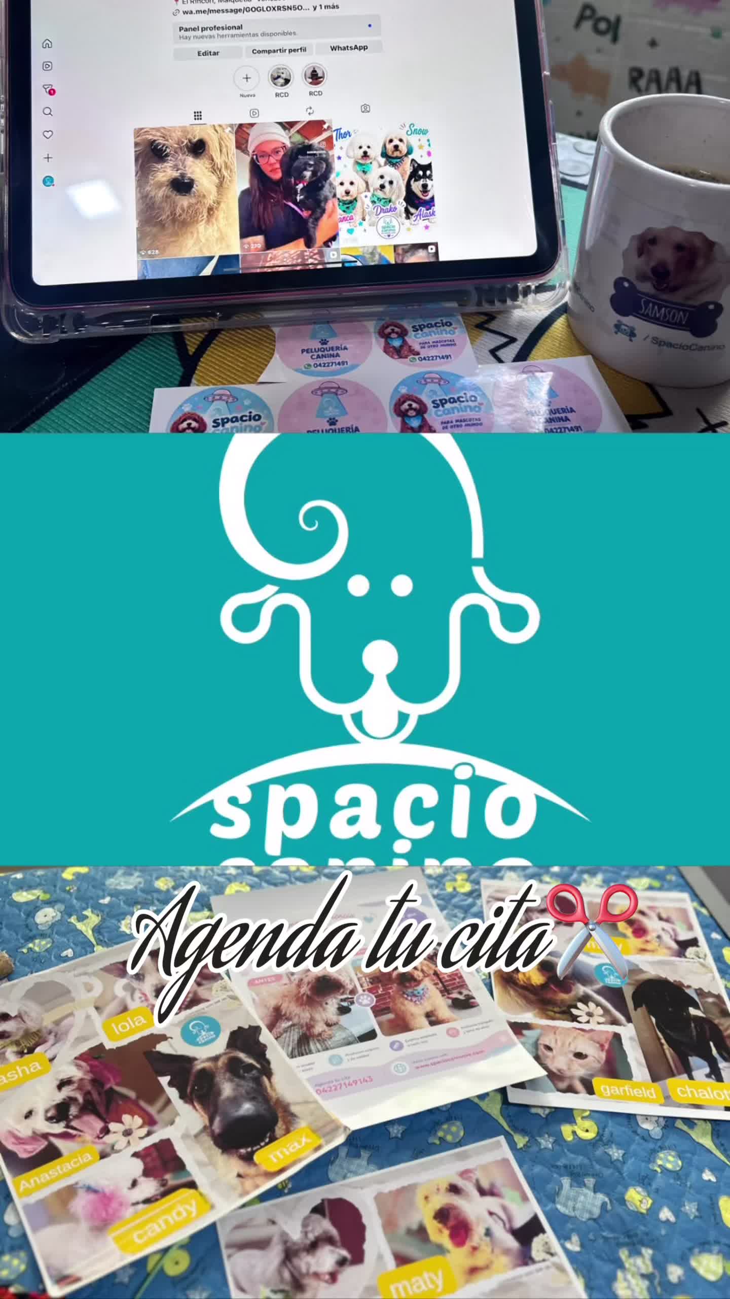 @Spaciocaninove